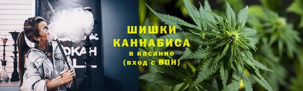 индика Богородск