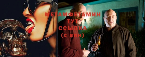 индика Богородск