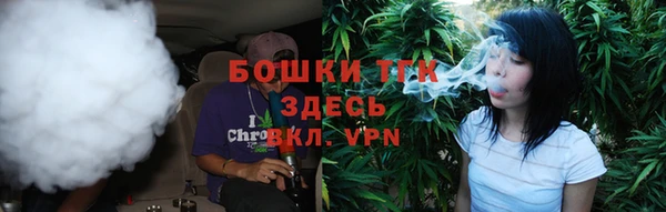 прущий лед Богданович