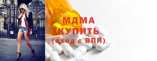 индика Богородск