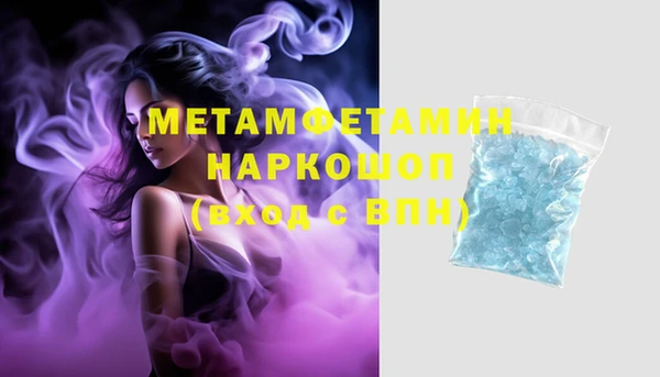 индика Богородск