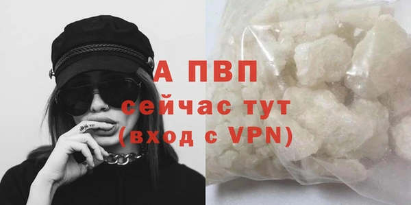 прущий лед Богданович