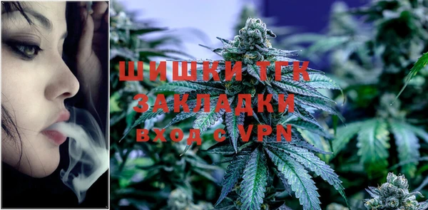 индика Богородск