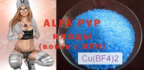 индика Богородск