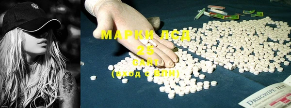 прущий лед Богданович