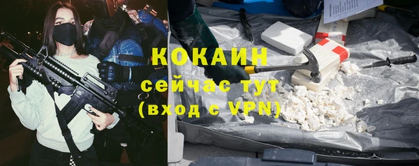 прущий лед Богданович