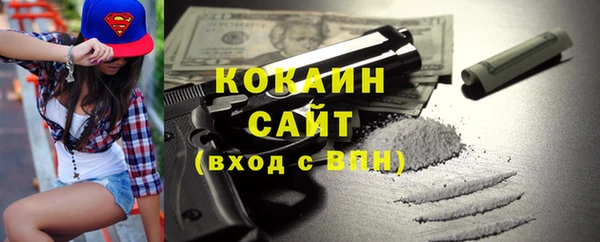 индика Богородск