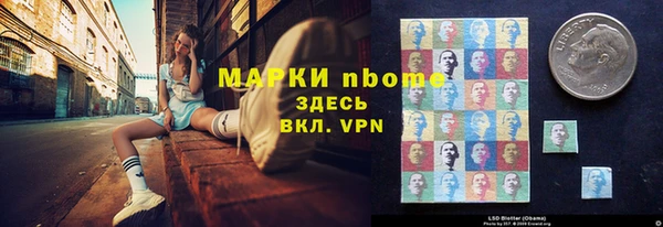 индика Богородск