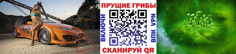 Галлюциногенные грибы мицелий  Купить где  Куса 