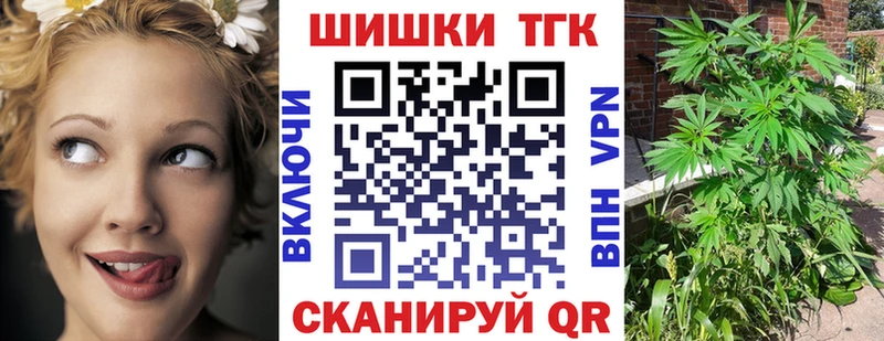 Купить где Куса Бошки Шишки THC 21%